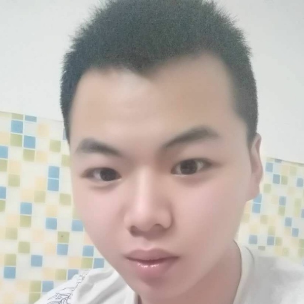 活泼还小猫咪的照片