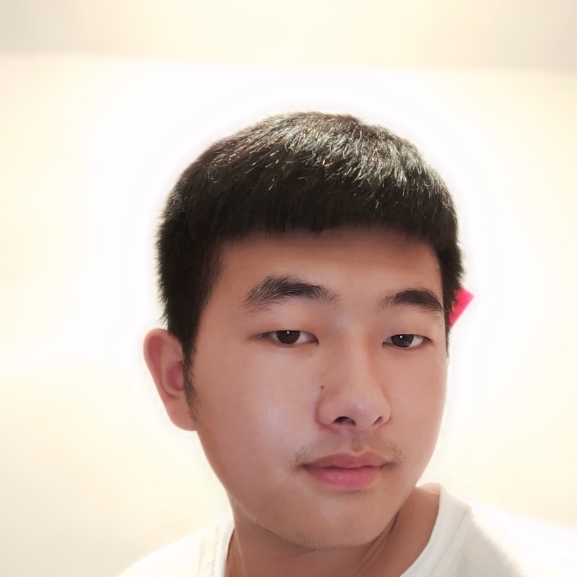 荔枝端庄的照片