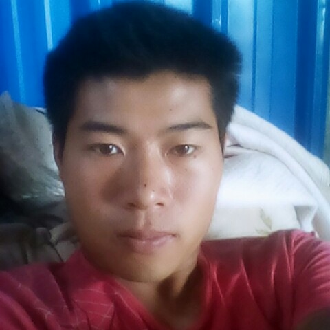 不然巡的照片