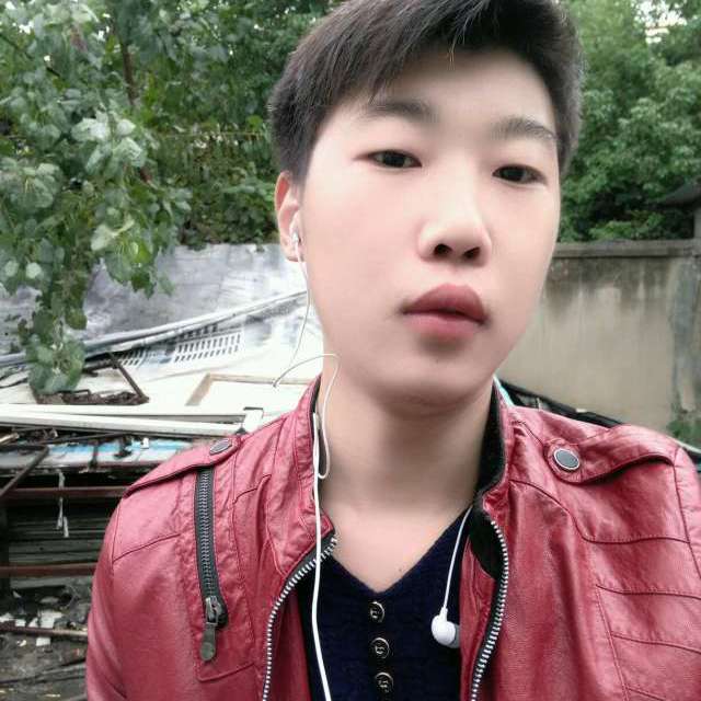 洋葱的幻灭的照片