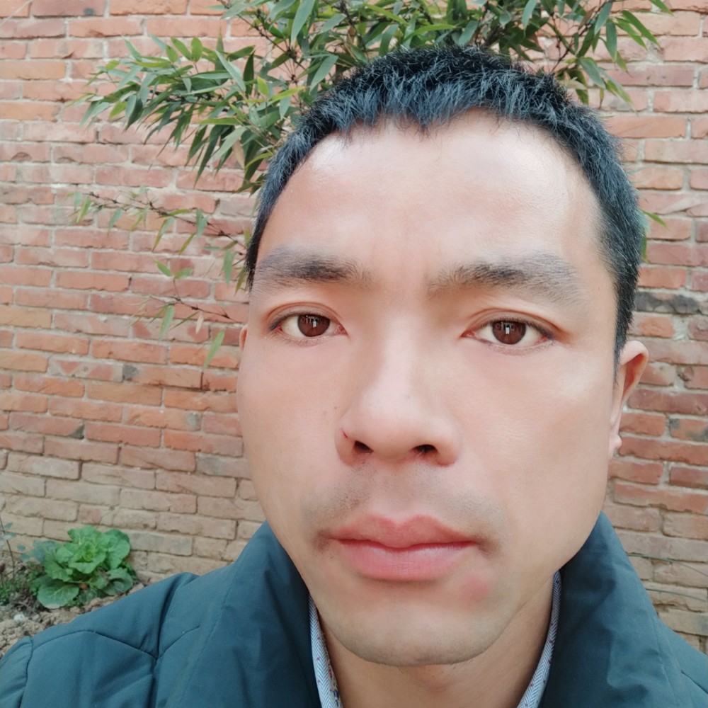 沾化若草的照片