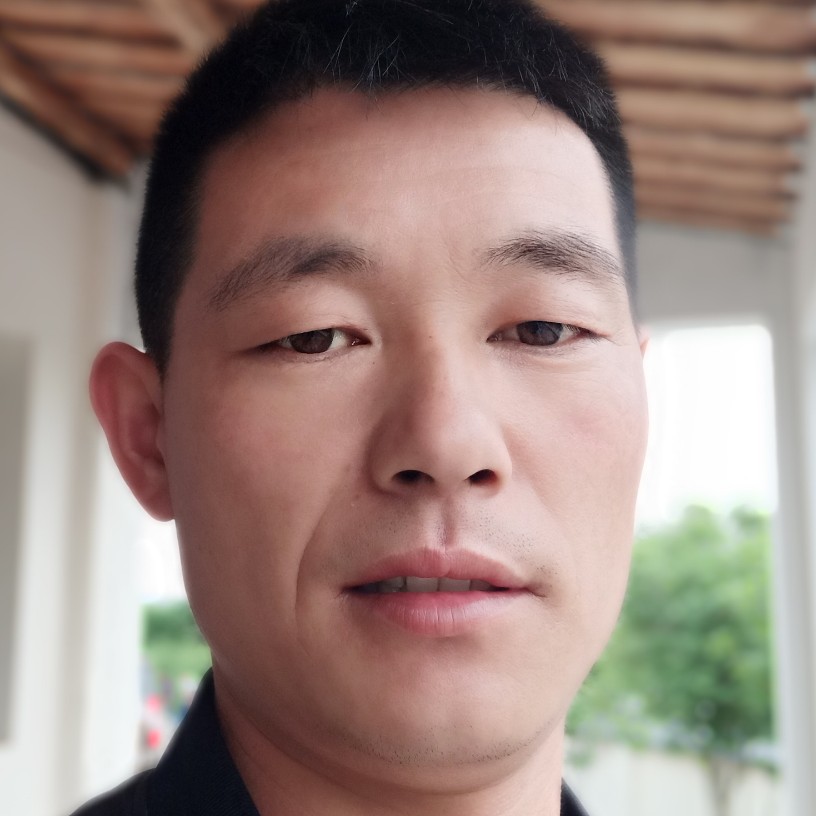 犹豫漫步含羞草的照片