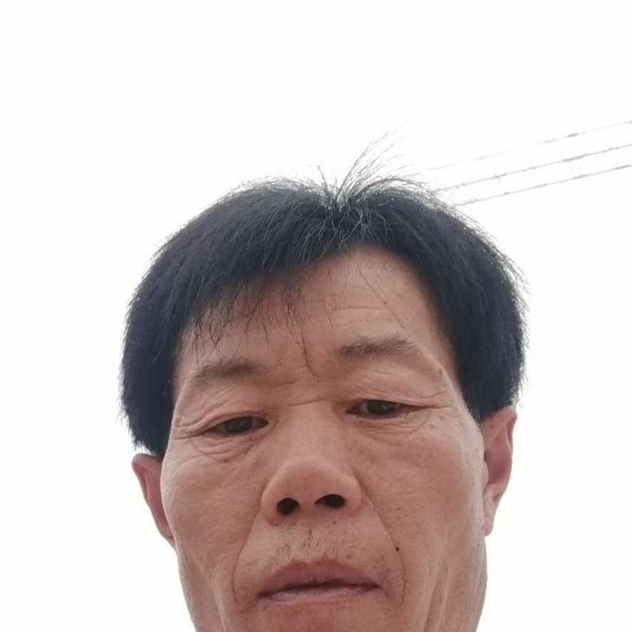 绝影放弃鲤鱼的照片