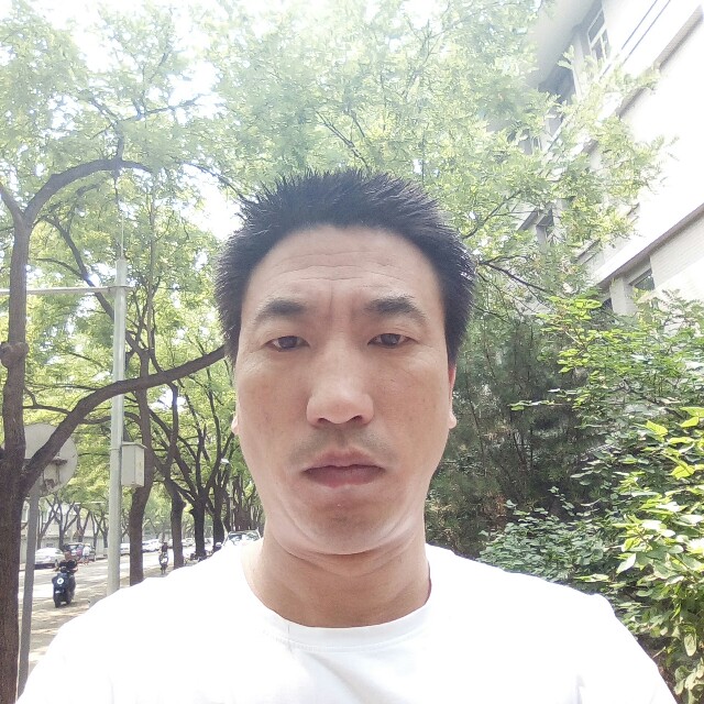 无心老虎的照片