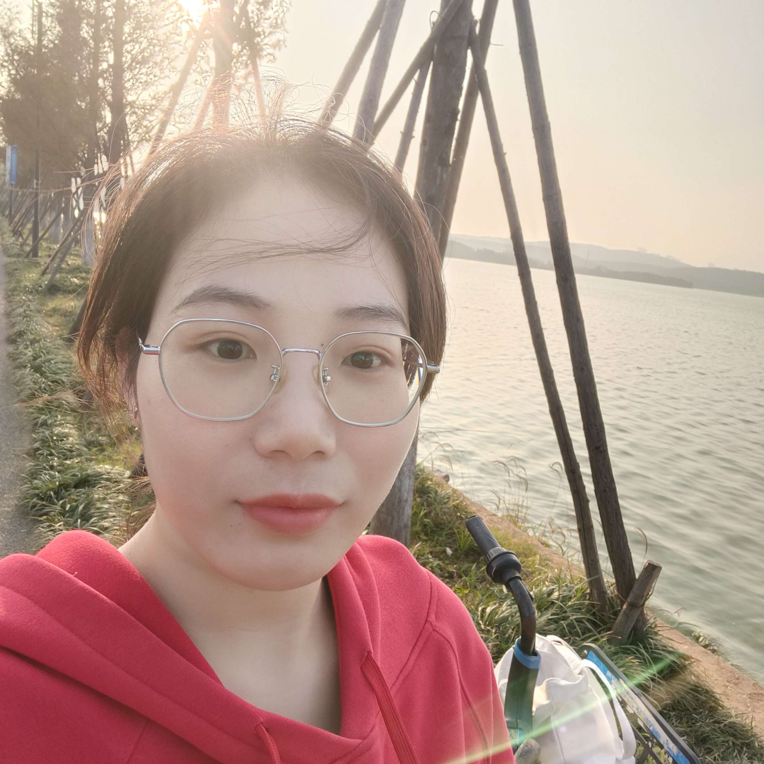积极蹁跹芹菜的照片