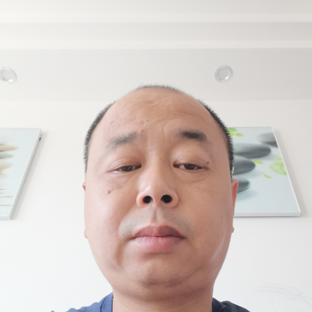 自由飞翔枫叶的照片