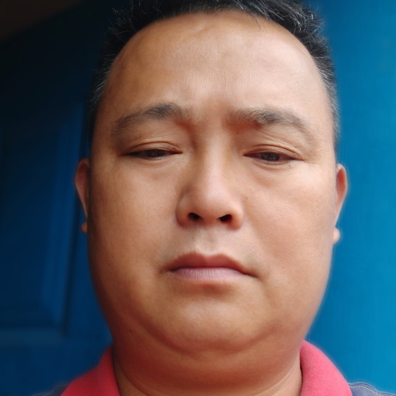 翱翔飞越。的照片