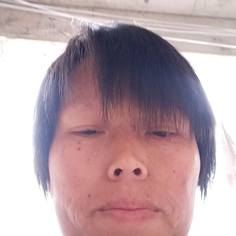 懦弱保卫韶华的照片