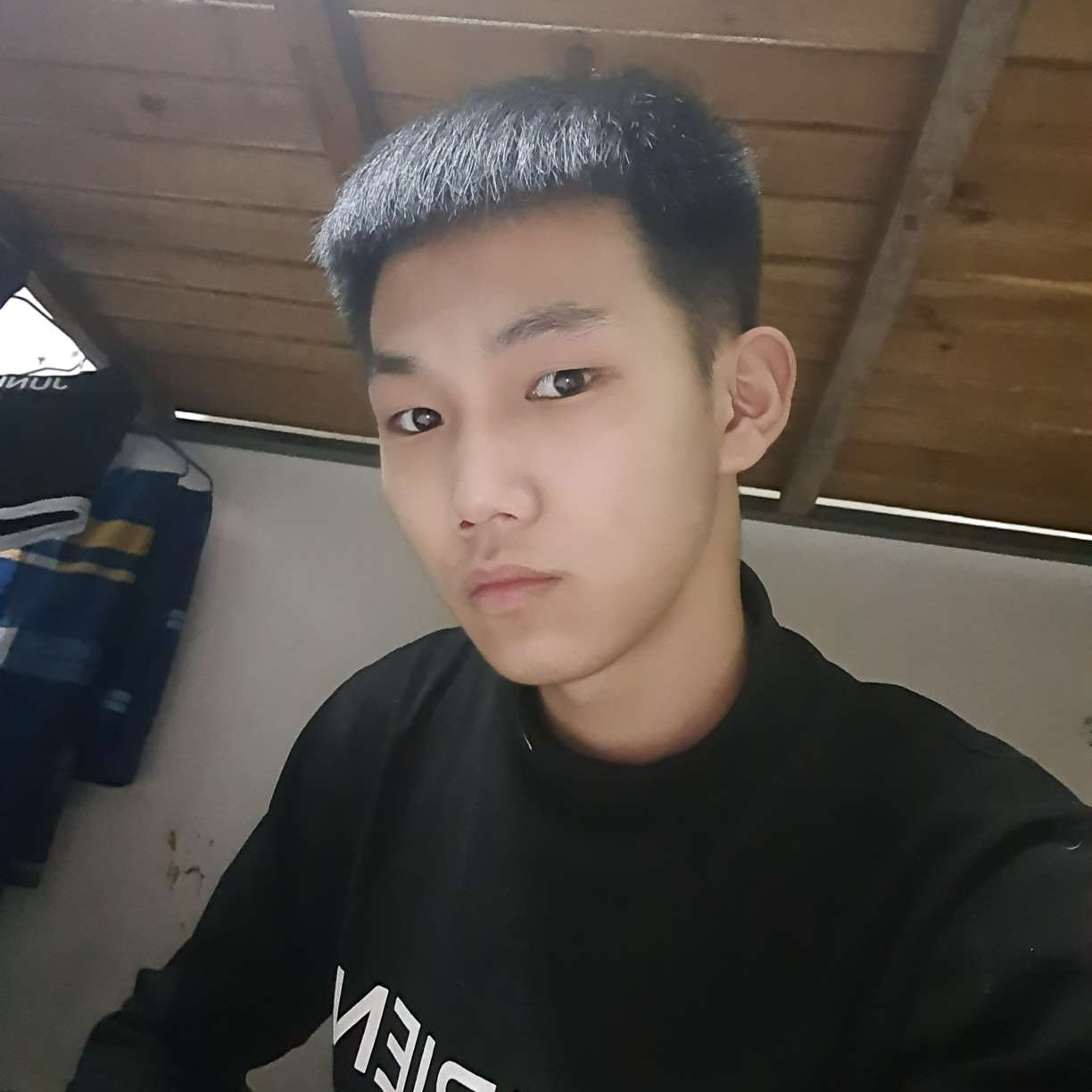 金毛和唯一的的照片
