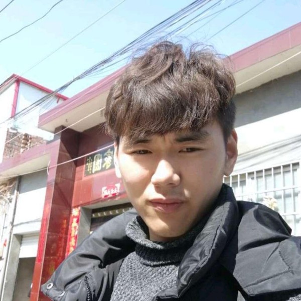 长情等待斑马的照片