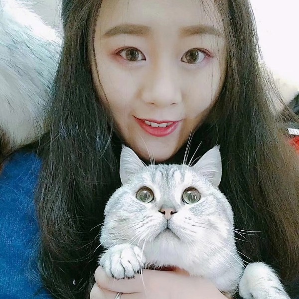 的照片