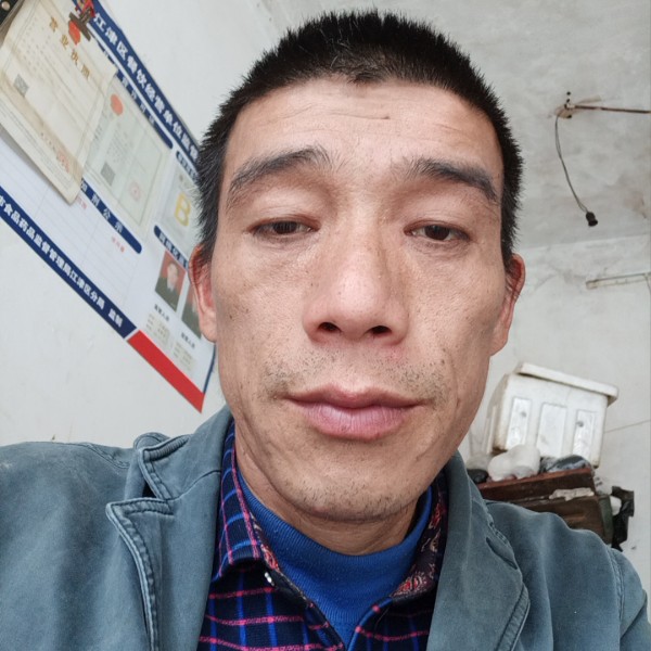大雁苦恋专一的照片