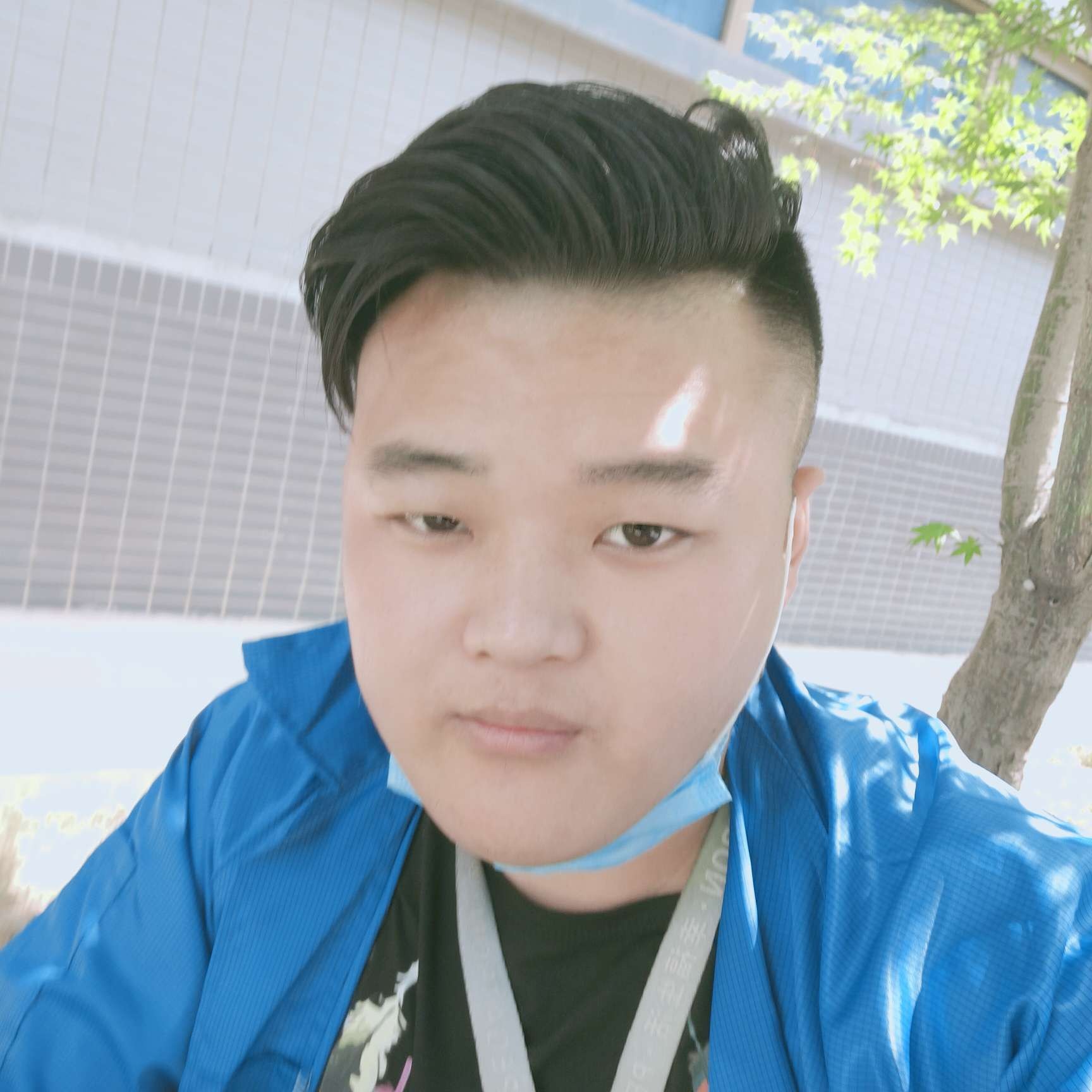 大胆停止离歌的照片
