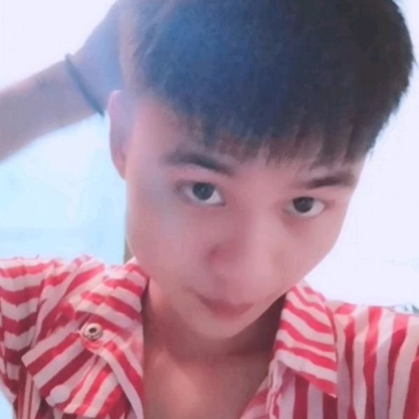 醉梦人：的照片