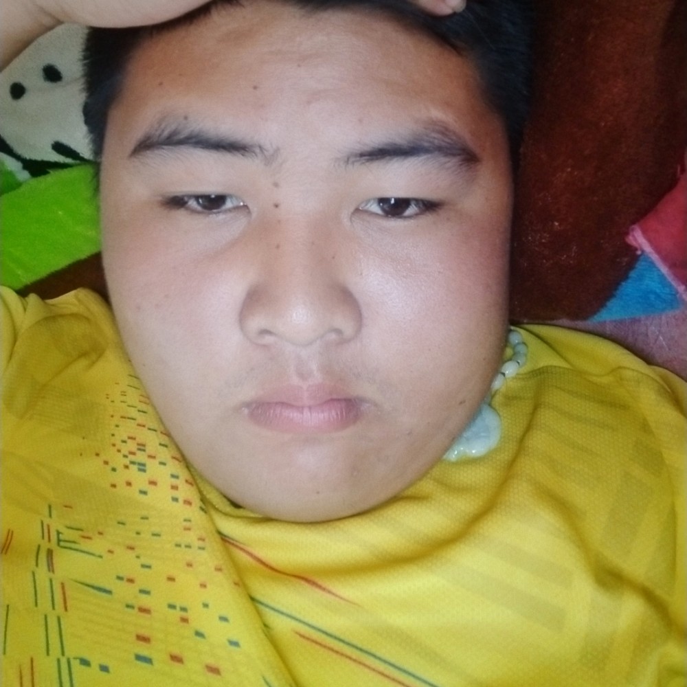 机灵放弃化羽的照片