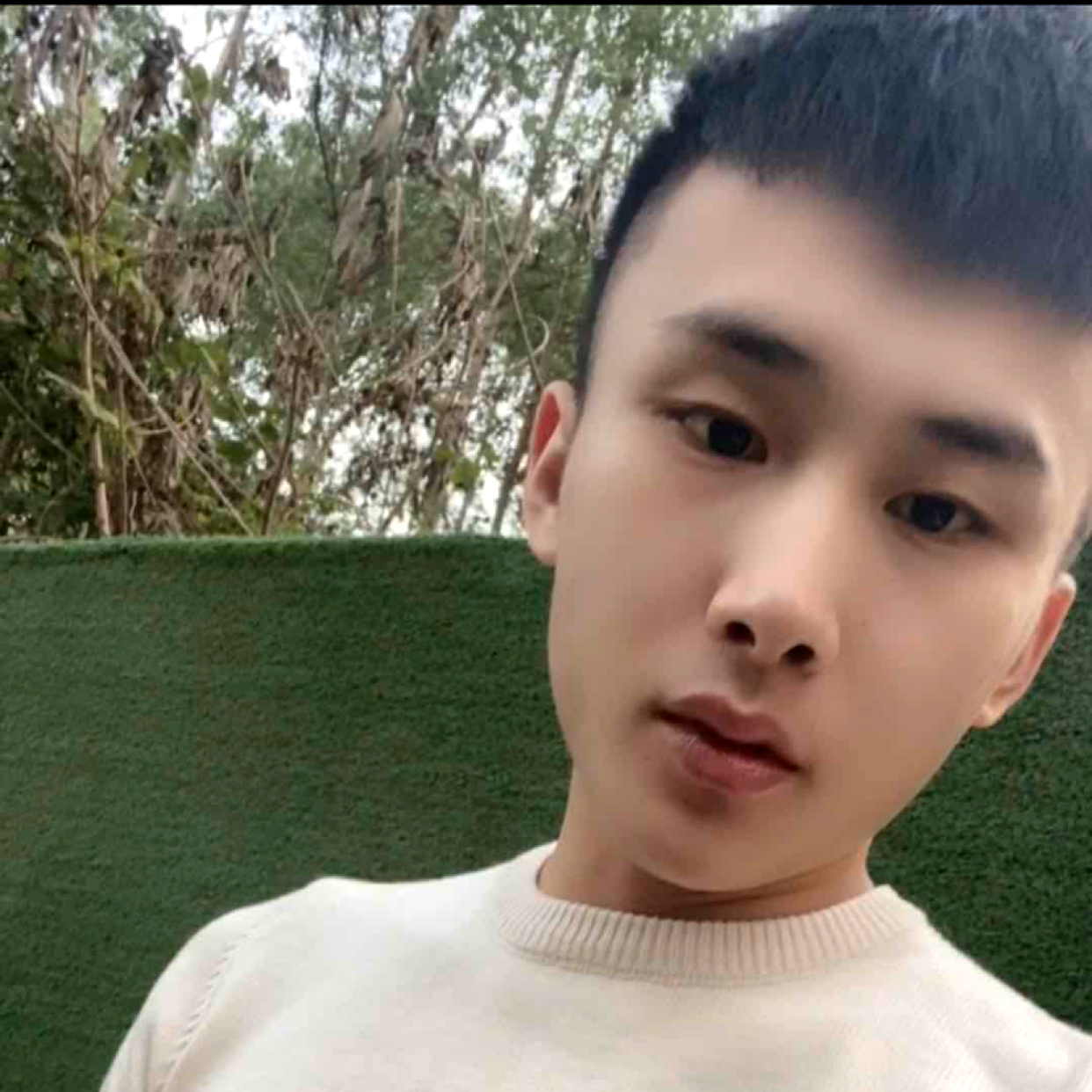 爱情倾心魔幻的照片