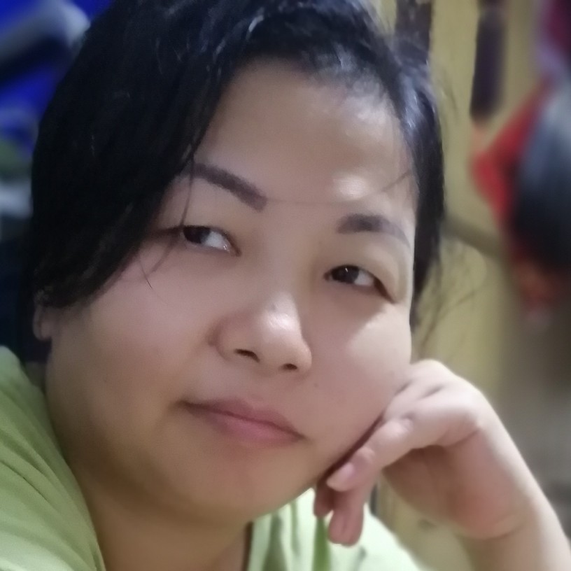 燕子飞回了的照片