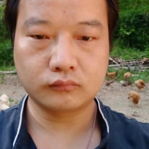 勤奋放弃逐风的照片