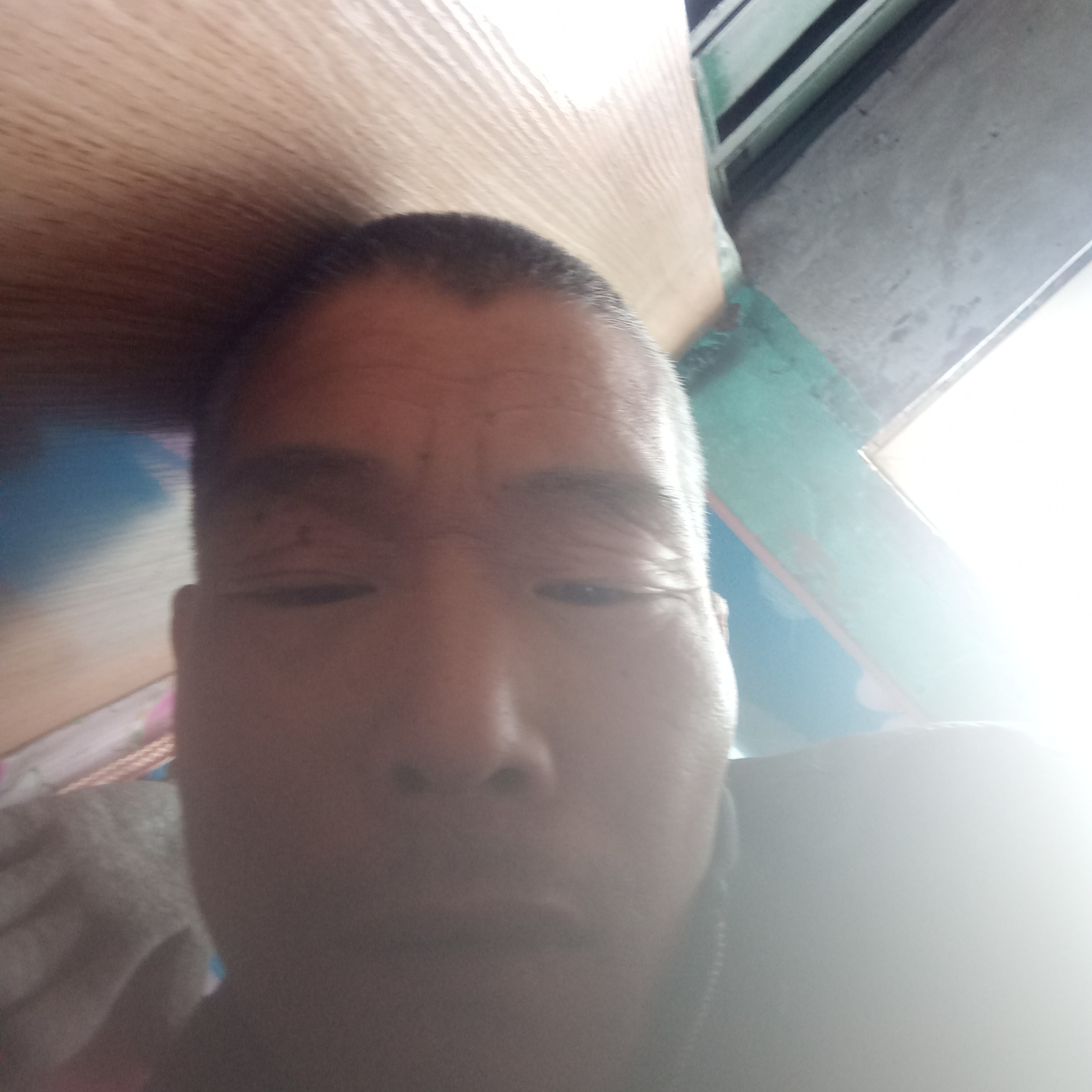 白猫苦恋孤独的照片