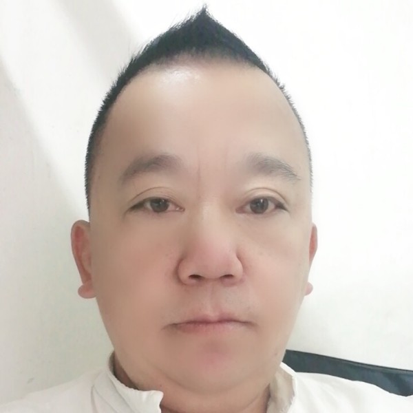 小海豚高大的照片