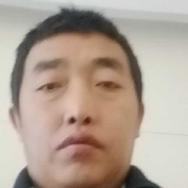 飞翔的松鼠的照片