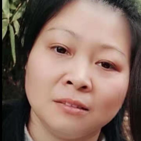 蚂蚁简单的照片