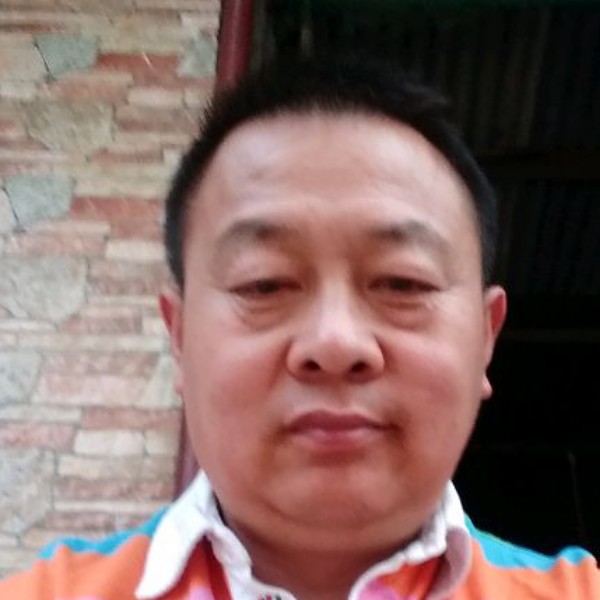东方本木的照片
