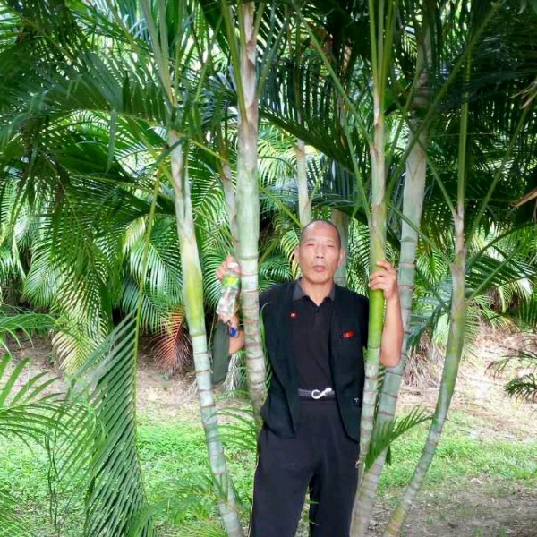 舞鞭老者的照片