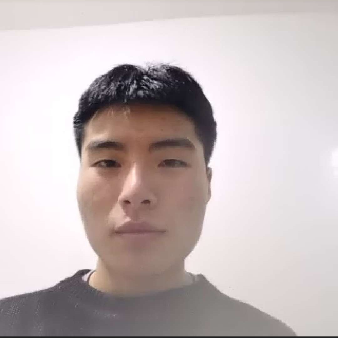 鸡扒大的照片