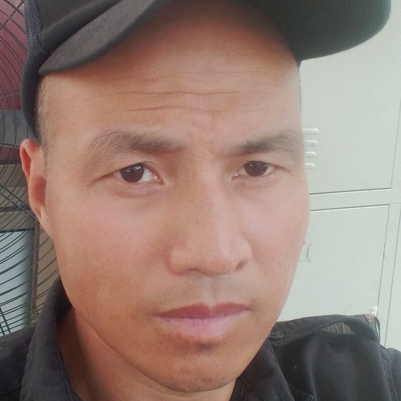 迷路给猫咪的照片