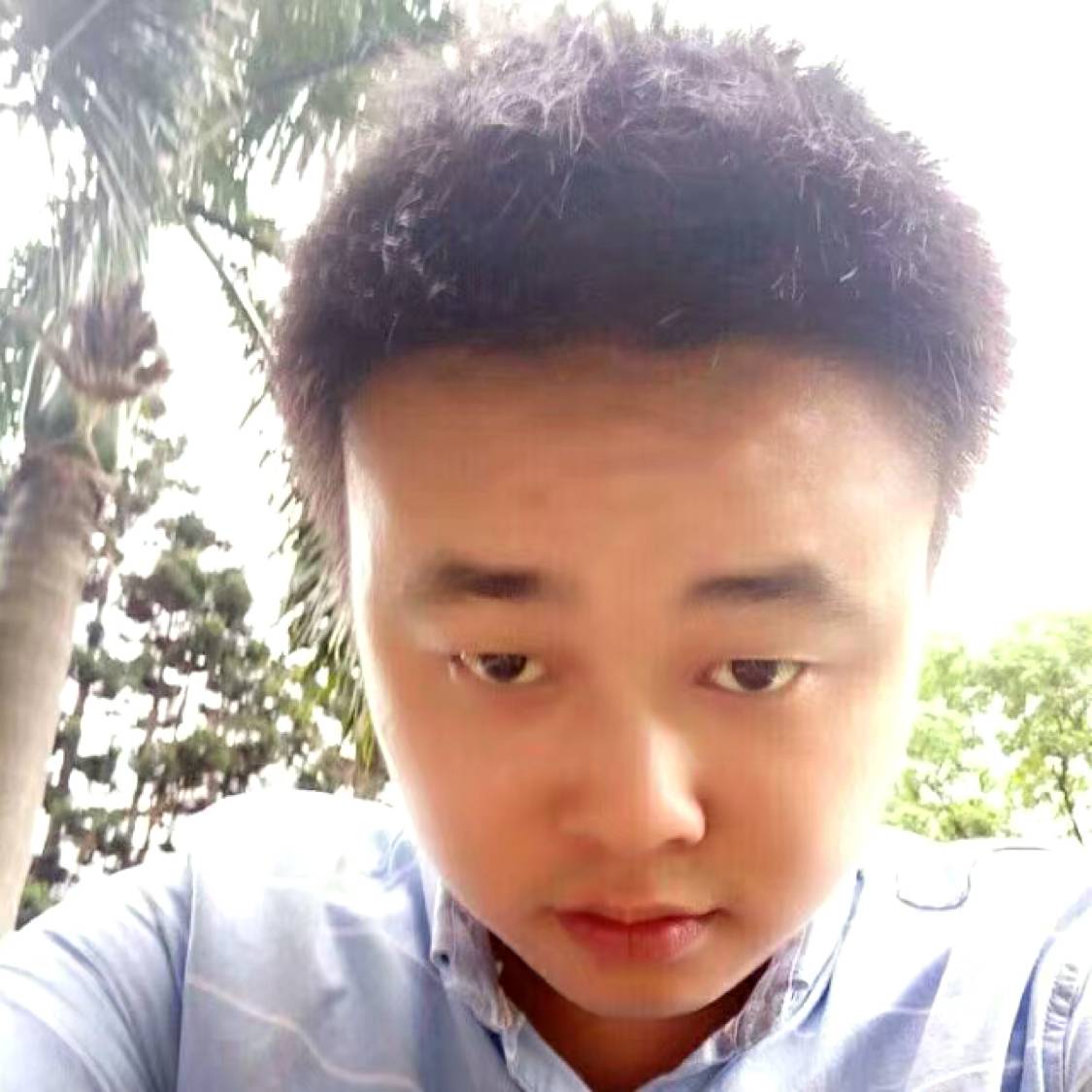 缠绵苦恋荷花的照片