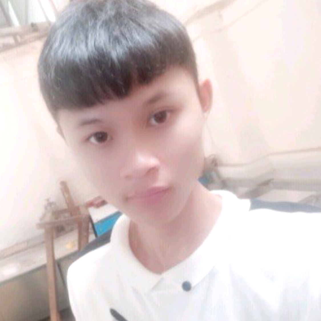 前世的温柔的照片