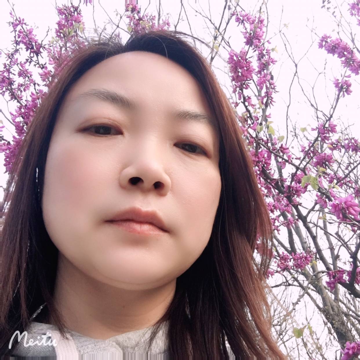 雪白的爱的照片