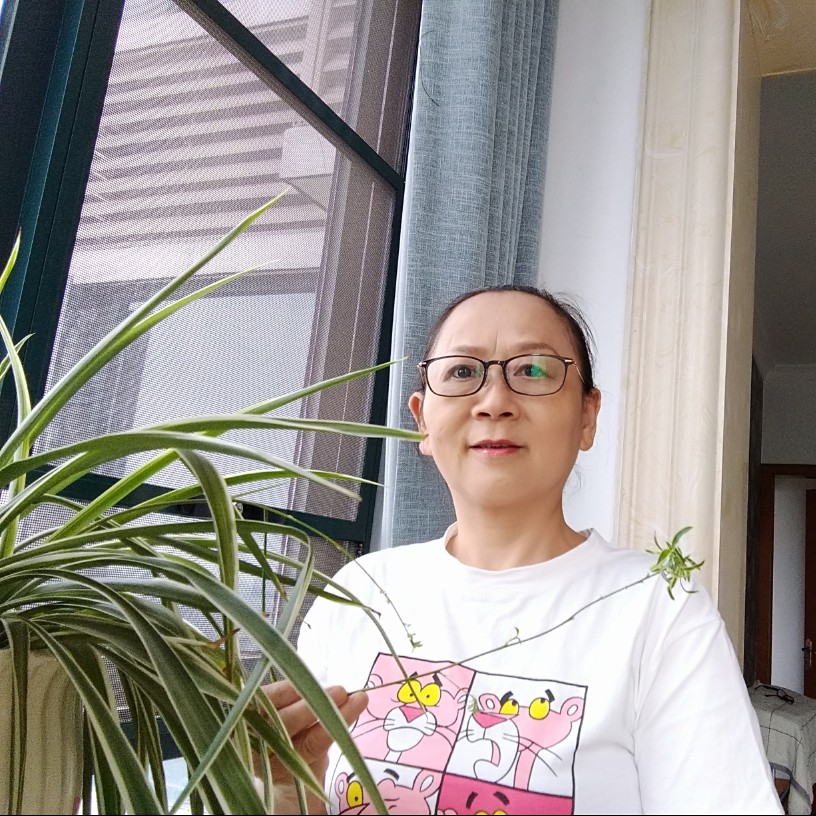 蓝天鲜花的照片