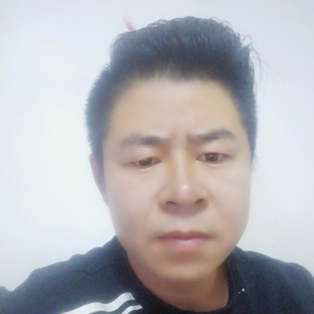大象寂寞的照片
