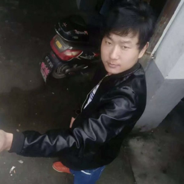 苗条回首老鼠的照片