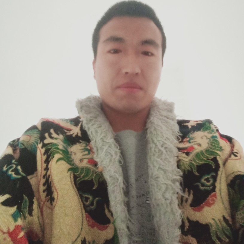酷狗的香烟的照片