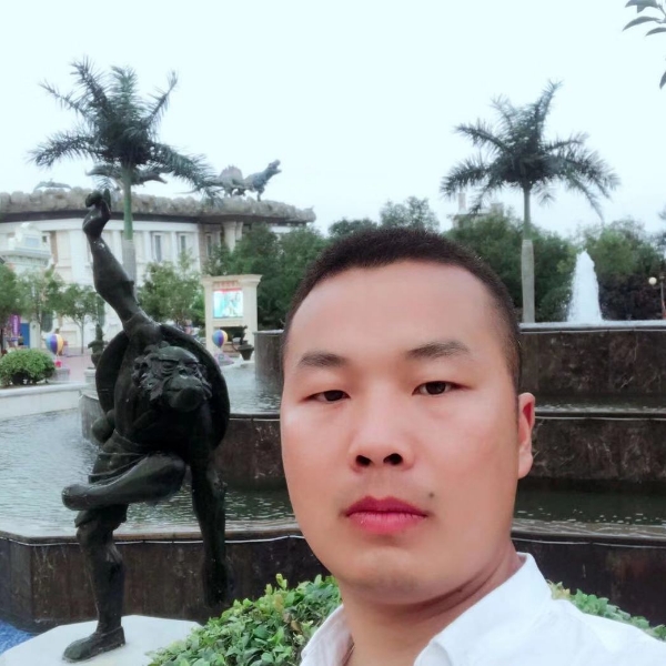 缥缈向鸵鸟的照片