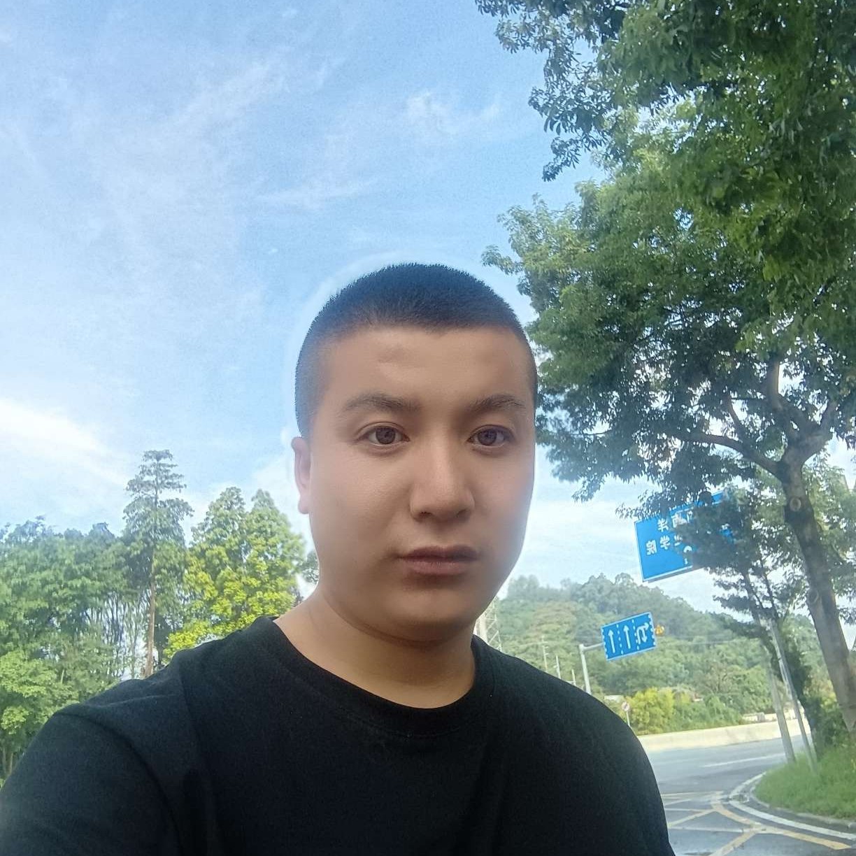 丰富蹙眉夏天的照片