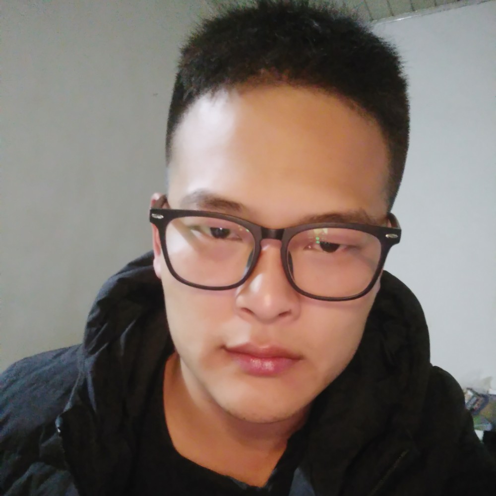 冷静的小蚂蚁的照片