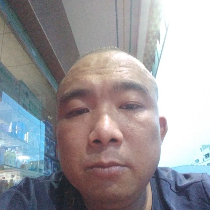日记本保卫傻傻的照片