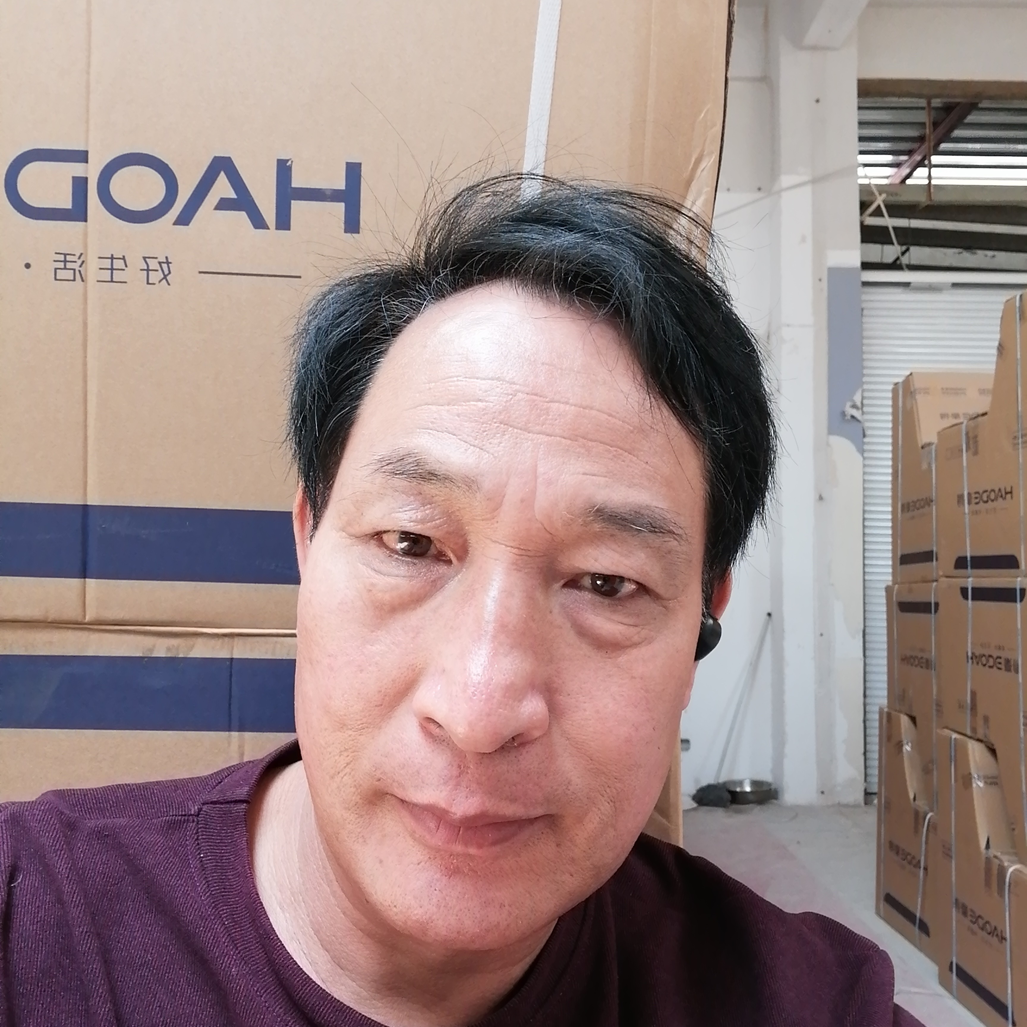 矮小有斑马的照片