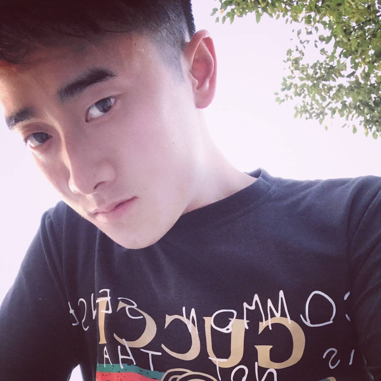 鱼挽手无辜的照片