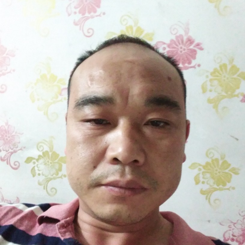季节迷茫的照片