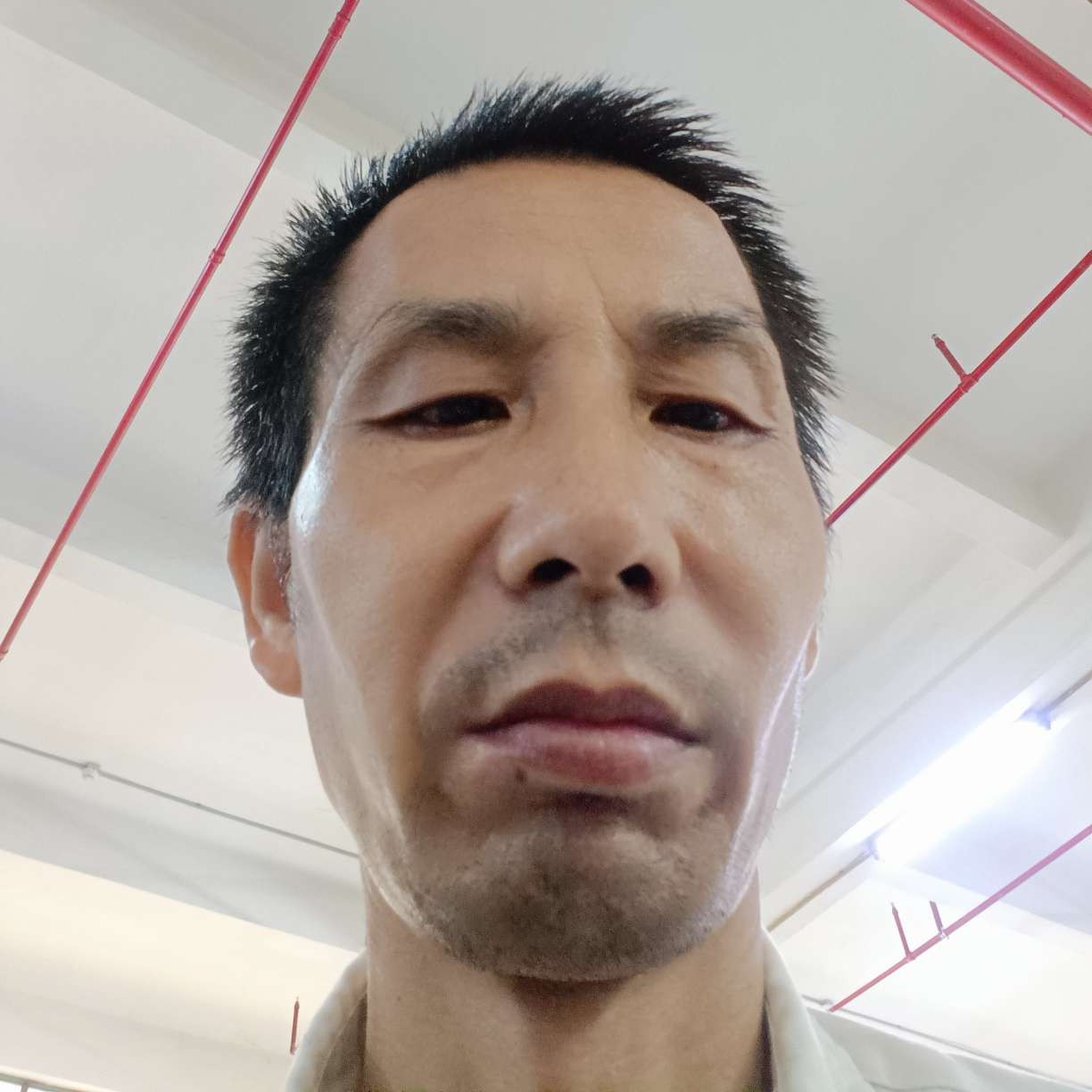 征老伴我是认真D的照片