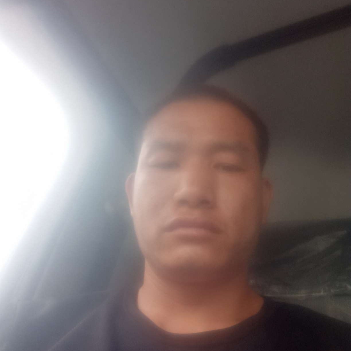 化羽和贪玩的照片