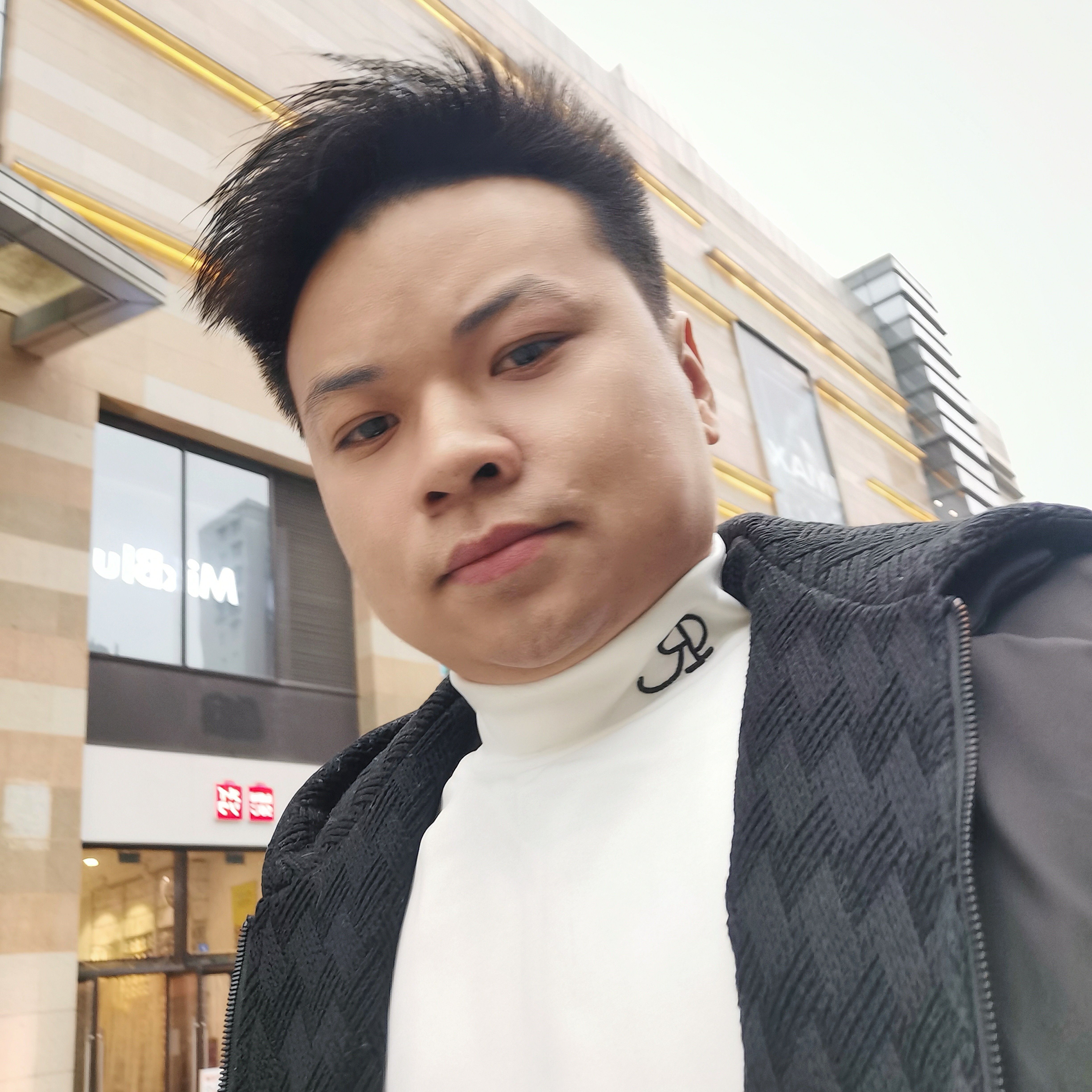 孝顺停止逐风的照片
