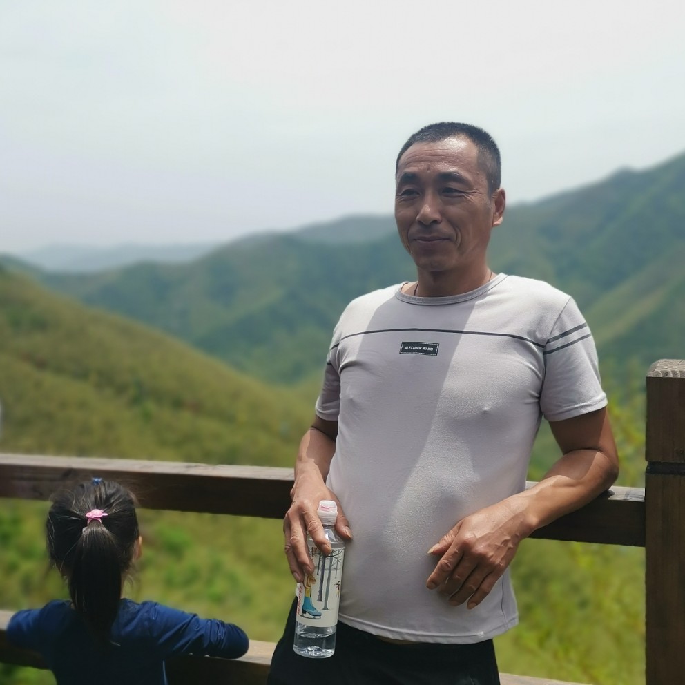 阳光請绿草的照片