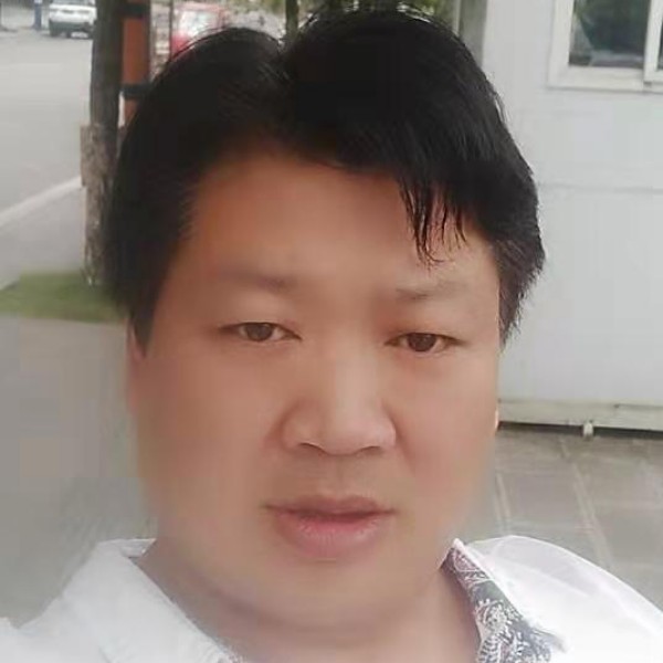 敏感漫步蜗牛的照片