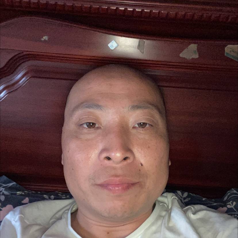 无私就小刺猬的照片
